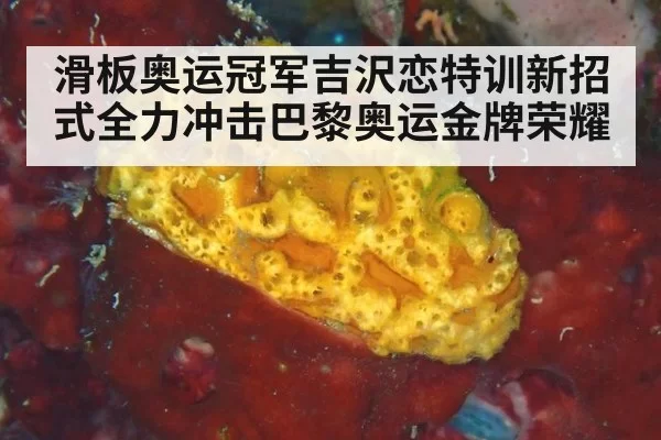滑板奥运冠军吉沢恋特训新招式全力冲击巴黎奥运金牌荣耀